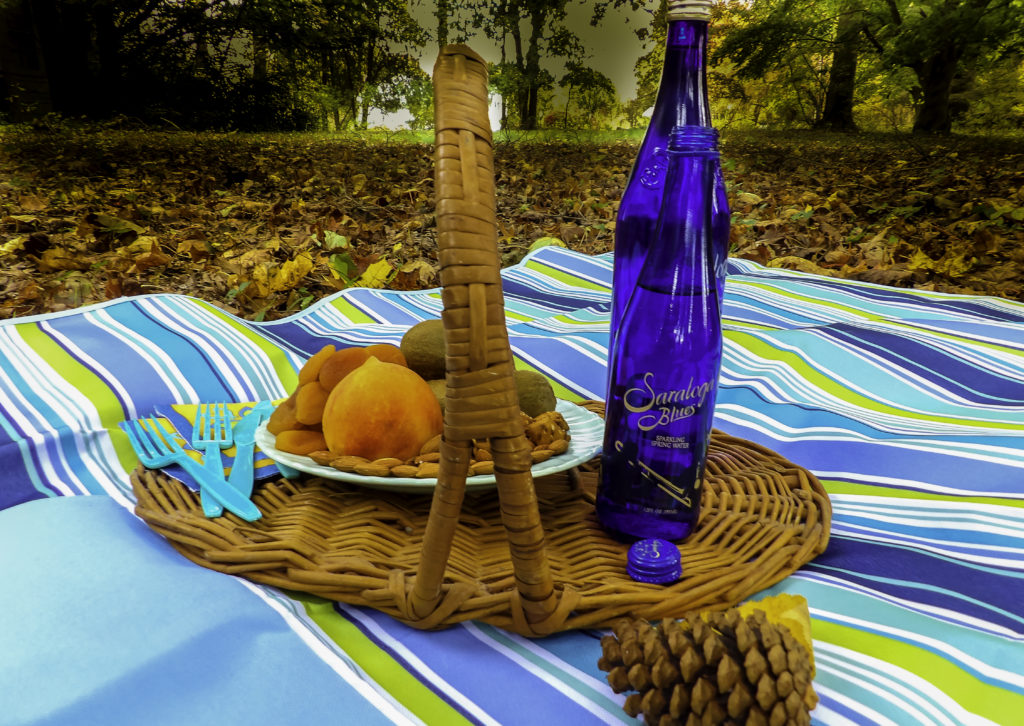 GIFTS FOR FOODIES AL FRESCO DINING LIKE A GROWN-UP: THE PARYVARA ALL PURPOSE MAT